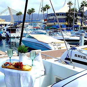 barco-pita-puerto-coln.adeje-hotels.com/